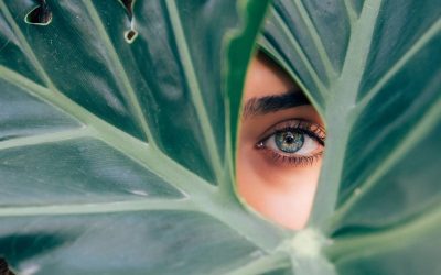 Risk-free investment with profit!