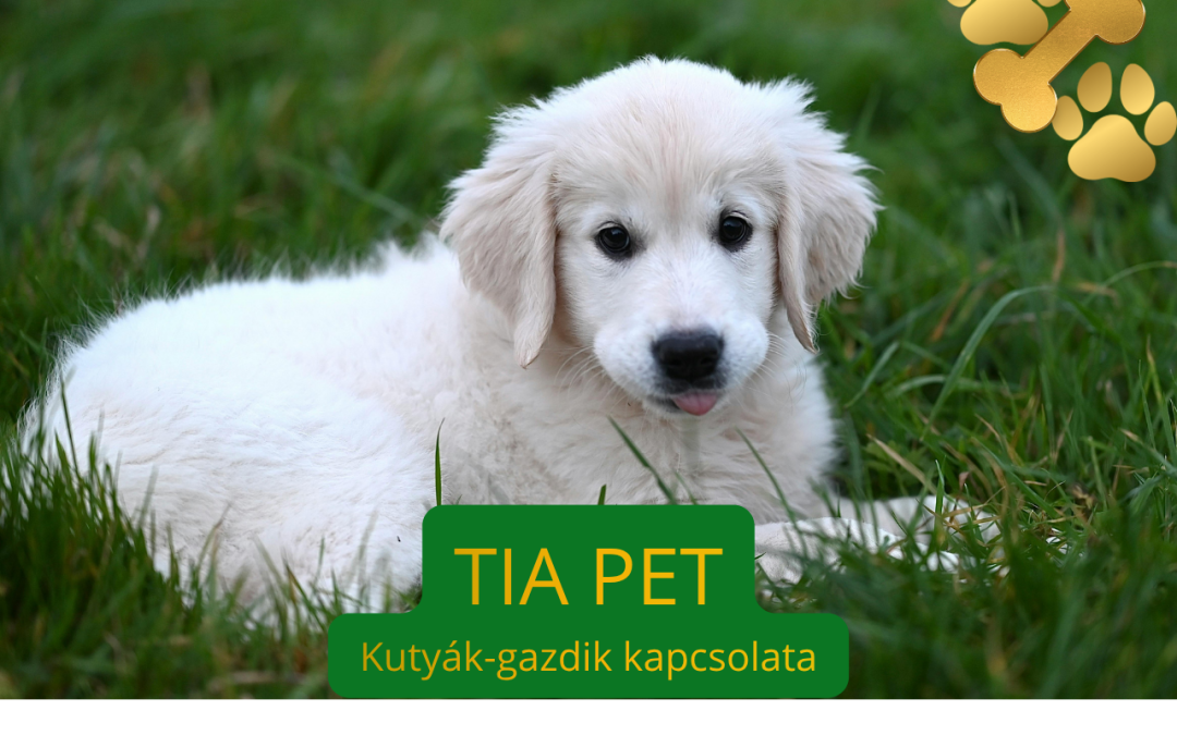 TIA PET és ReBioPet együttműködési koncepció: sejtszintű ásványi-biokémiai szemlélet, tudatos állapotmegfigyelés és a bélrendszeri mikrobiális egyensúly természetes támogatása kutyák és macskák számára.
