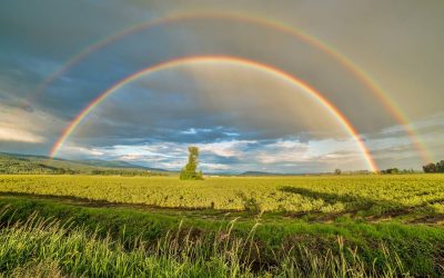 Coaching - a method, but not a panacea