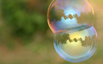 The relationship between the individual and the organism in the light of our DNA and our organism