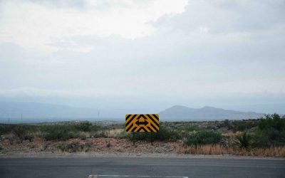 Are you passionate about your work? The role of IQ and EQ in recruitment