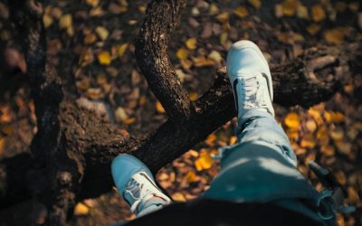 Is fear lovable?!? - Part II