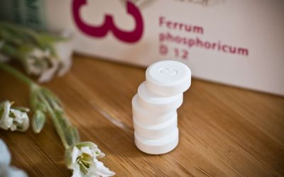 What is Schüssler salt and how does it relate to minerals?