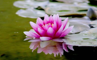 Science - Spirituality: let's clear the air!