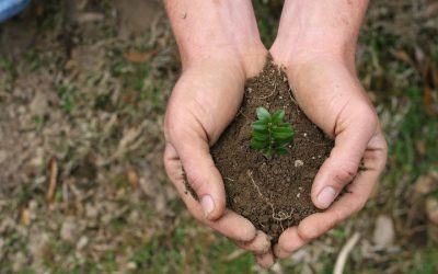 Personal development, or how to create?